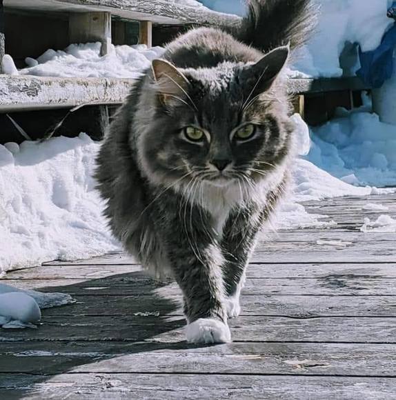 Meet your Posher, Eileen - Picture 1 of 1